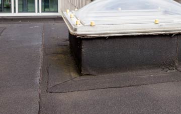 disadvantages of Facit flat roofs