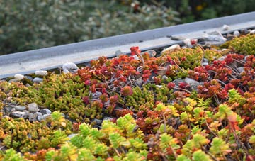 the cost of Facit green roof installation